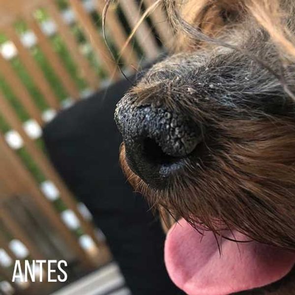 Hovedbilde Krem for Poter og Snute 100g, KW