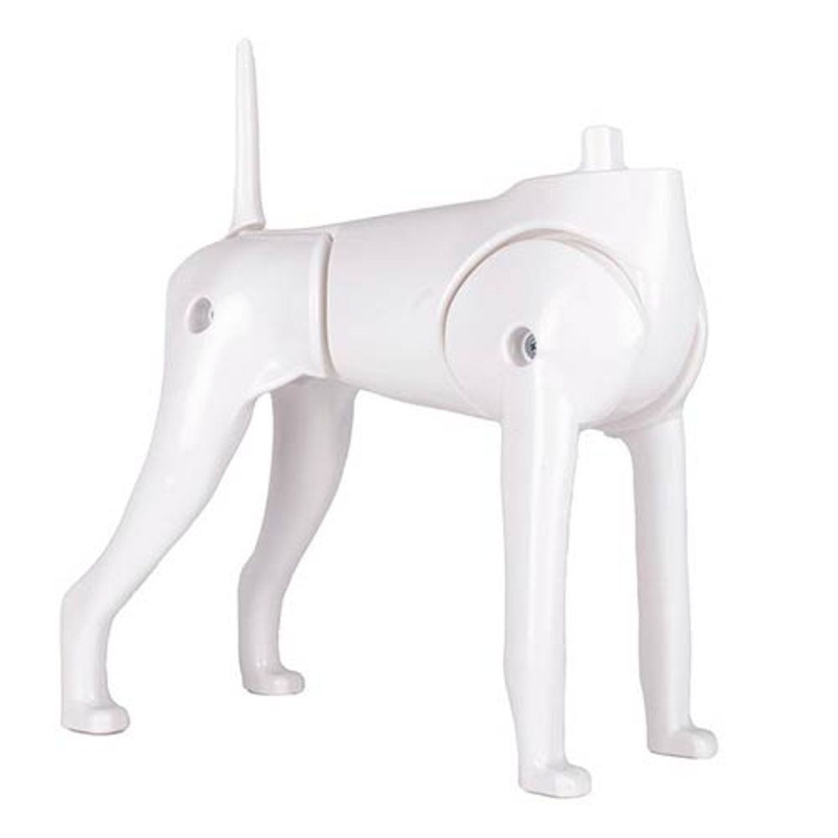 Model Dog Body Educational Dog (without head!), Starzclub