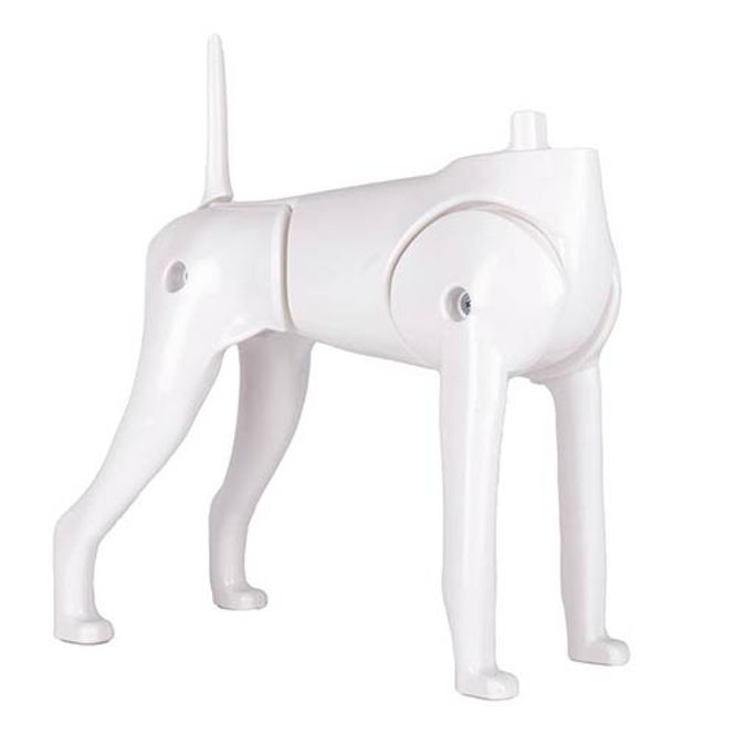 Hovedbilde Model Dog Body Educational Dog (without head!), ...