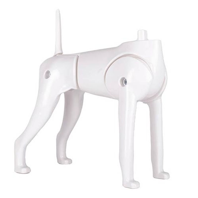 Model Dog Body Educational Dog (without head!), Starzclub