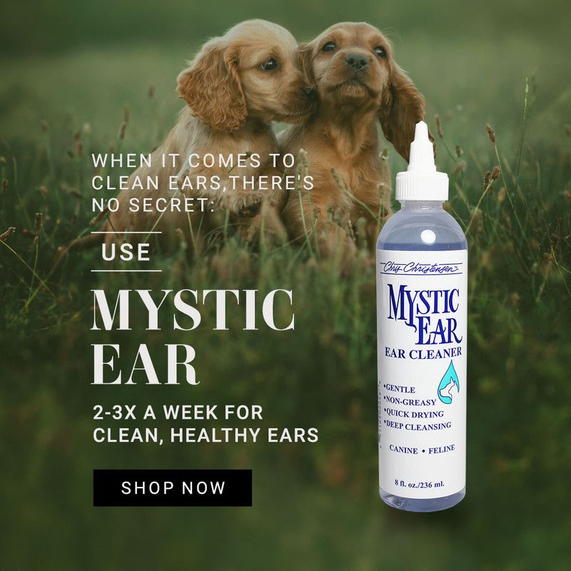 Mystic Ear Cleaner 3,8L, Chris Christensen 