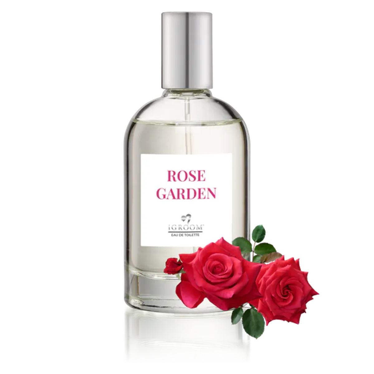 Rose Garden Perfume 100ml, iGROOM