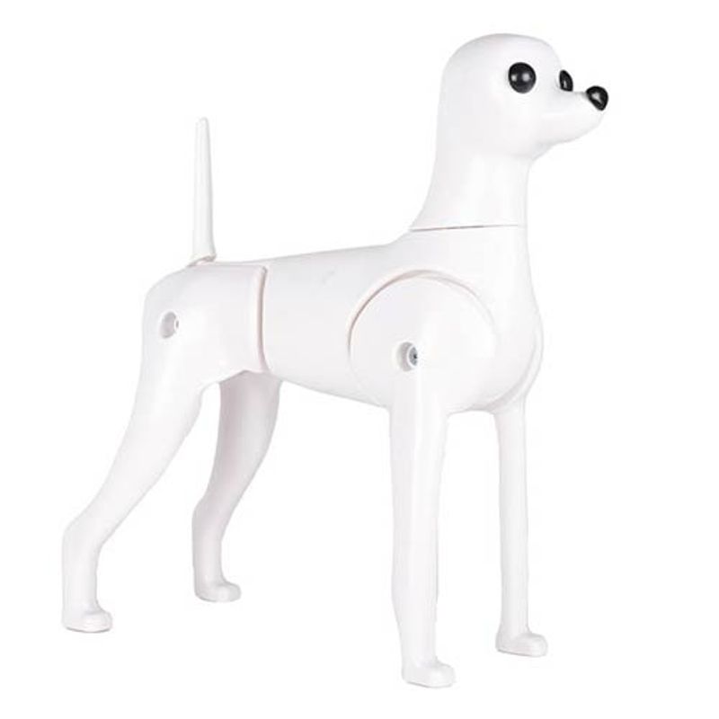 Model Dog Body Educational Dog (without head!), Starzclub