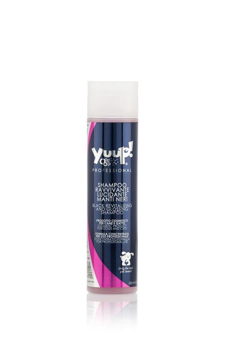 Hovedbilde PRO Black Revitalizing and Glossing Shampoo ...