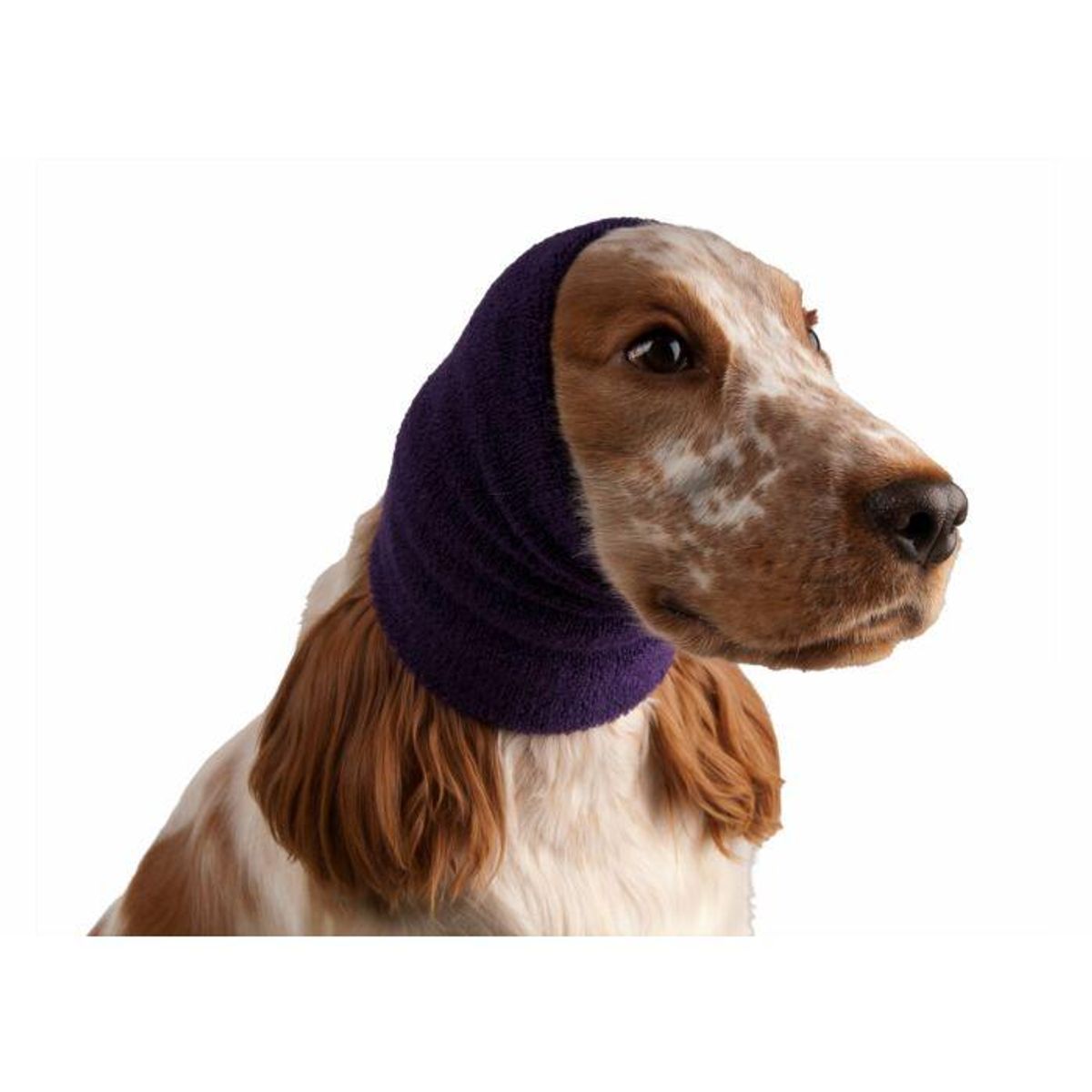 Ear Buddy Purple (Medium) , ShowTech