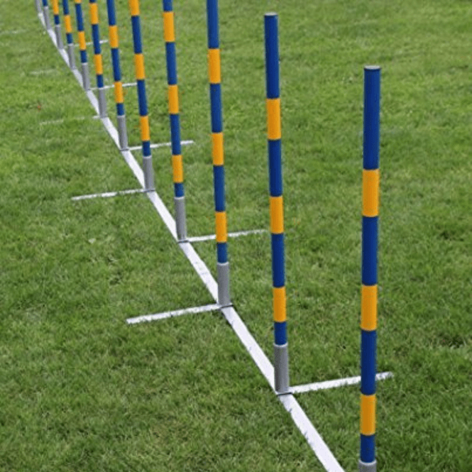 Hovedbilde Profesjonell Agility Slalomset / Palenset 12 ...