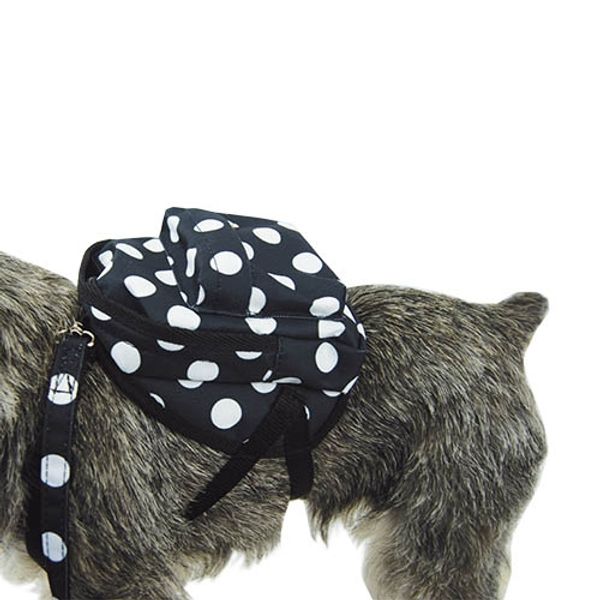 Hovedbilde Ryggesekk, Backpack Svart, Ibanez