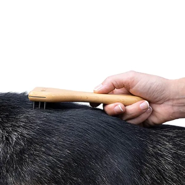 Hovedbilde Rake Total effekt, Ibanez