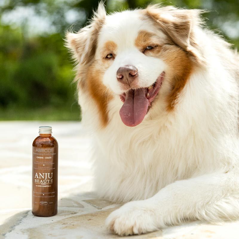 Abricot Shampo 250 ml, Anju-Beautè