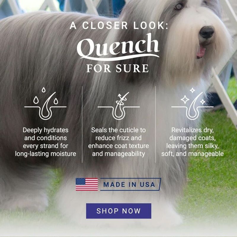Quench Leave In Conditioner 236ml. Chris Christensen