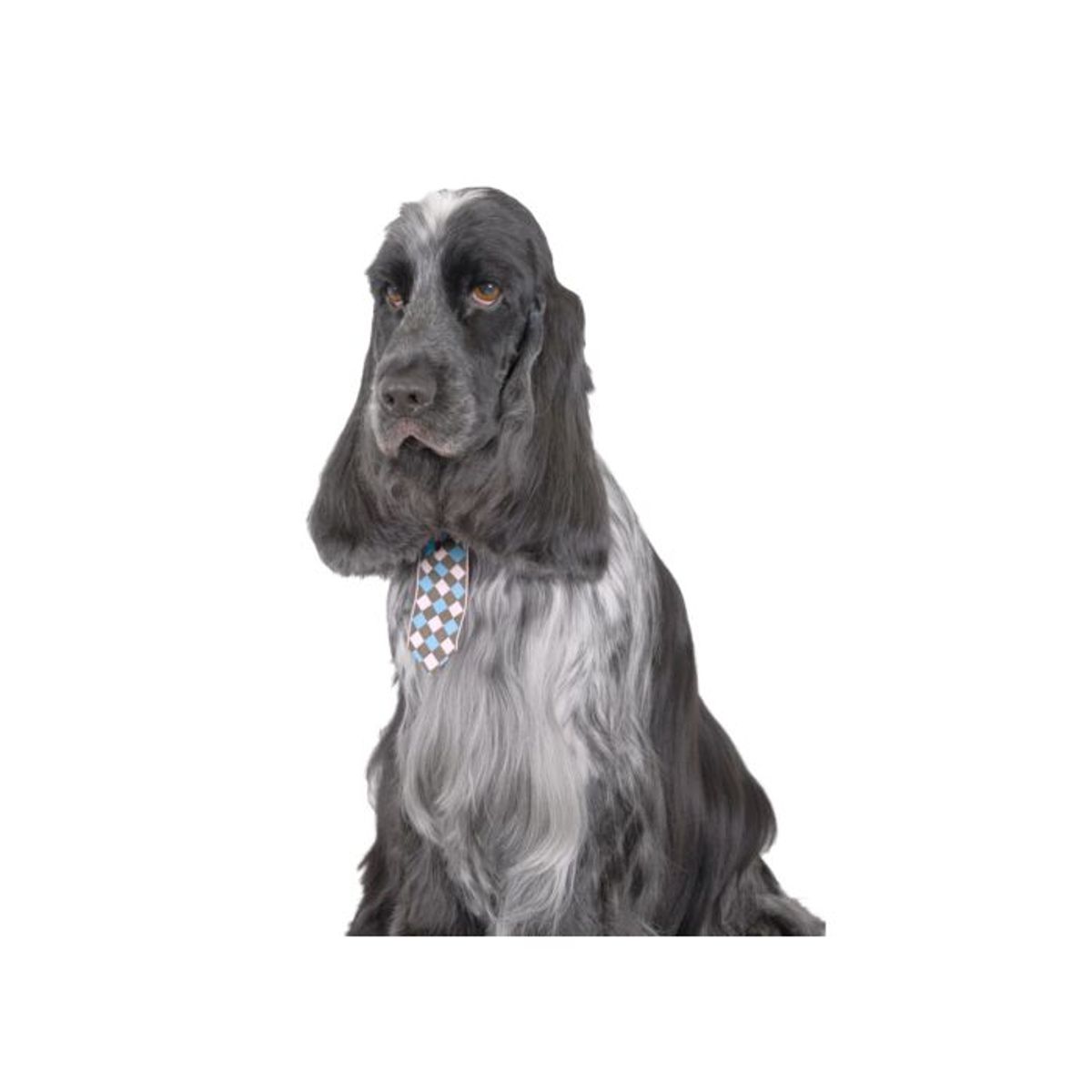 Check Tie Canine Costume Ties 10-pack Assorted, Show Tech