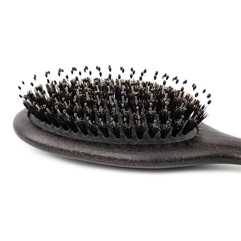 Bristles and Nylon Brush, Ibanez