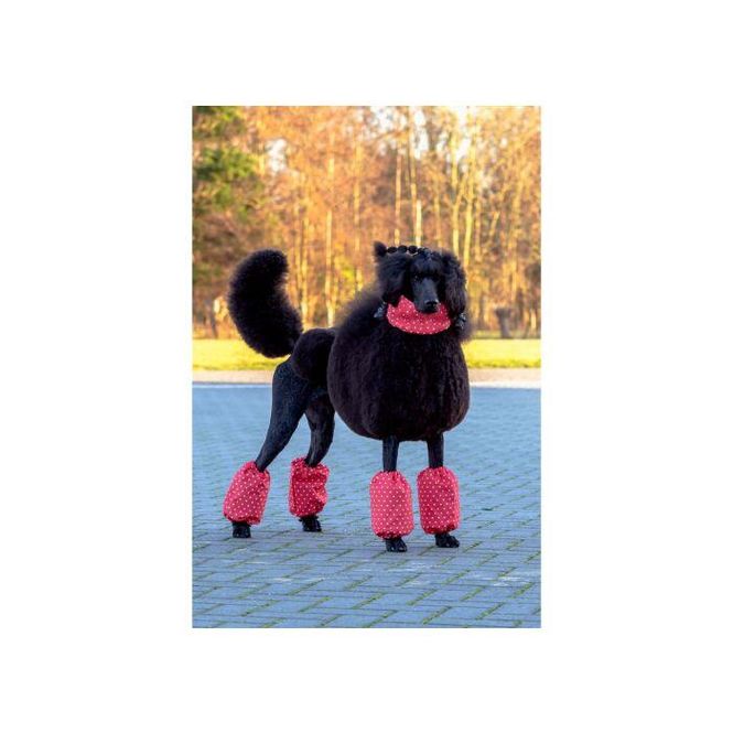 Hovedbilde Pom Covers Polka Dots for Middle-Sized Poodle, ...